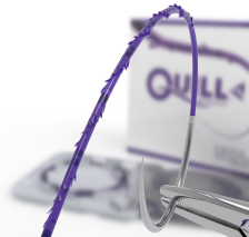 Quill cranté