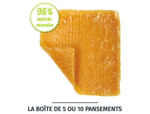 Pansement d'alginate au miel de manuka